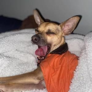 Meet your Posher, Rosalee cox